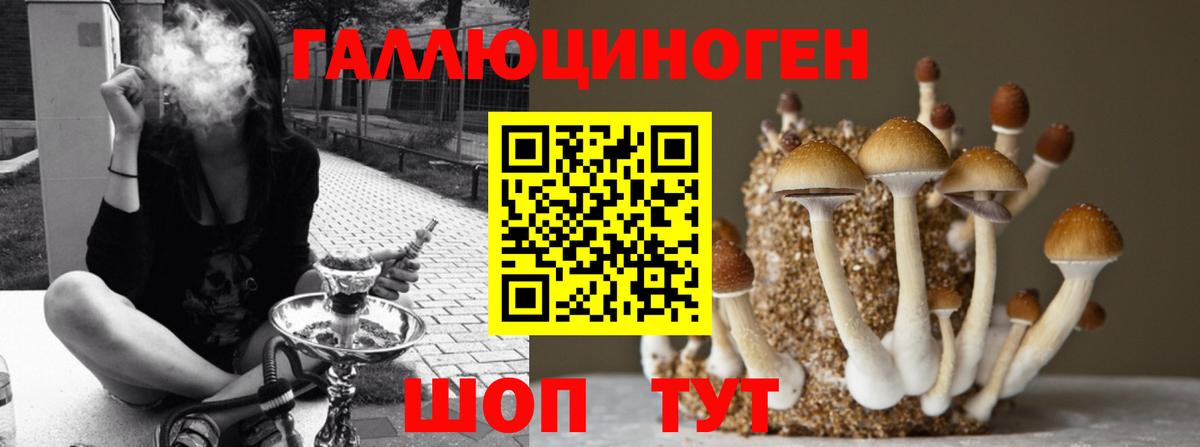 Урай  Псилоцибиновые грибы мухоморы  Вход с VPN 